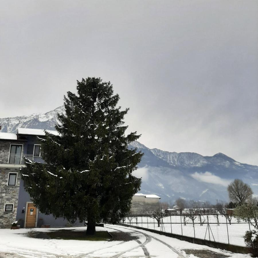 B&B Zia Vivina Sorico Dış mekan fotoğraf